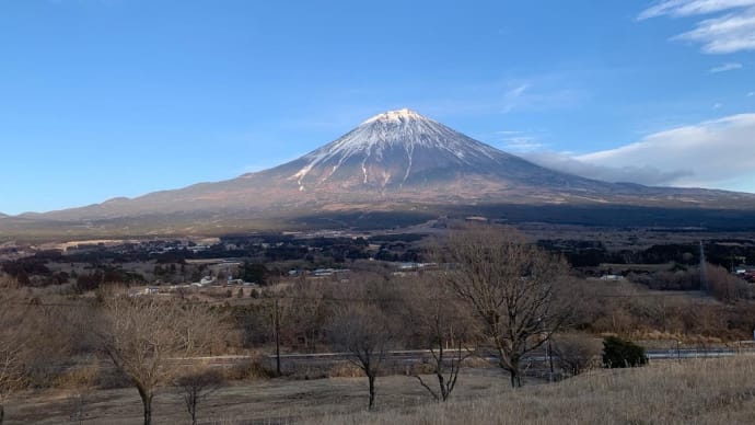 今日の相棒