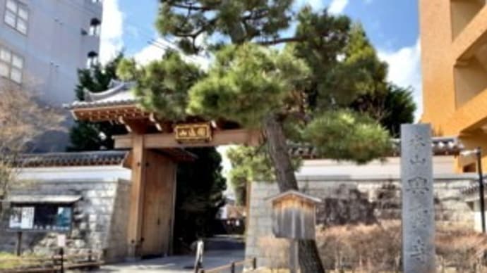 2503 興聖寺 春の特別拝観とお茶席