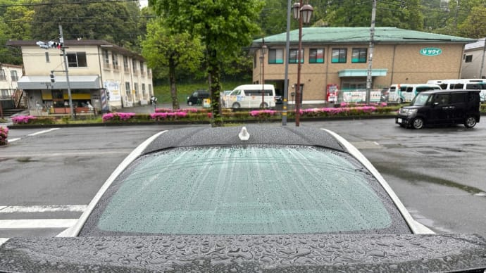 時おり大雨に 豪雨予報も出た今日の午前中は・・・