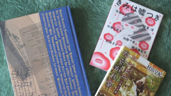 穂村弘歌集「水中翼船炎上中」を読みました。