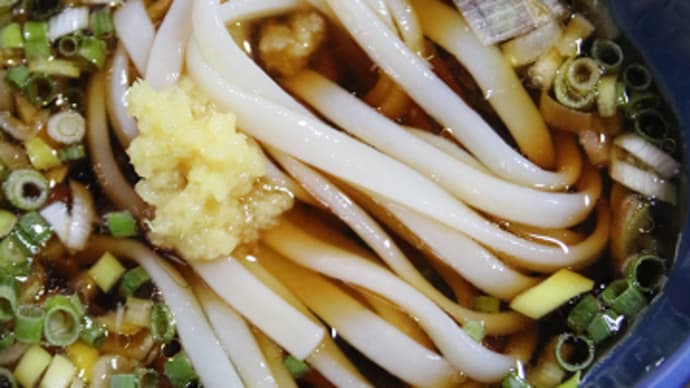 8月20日 もりうどん