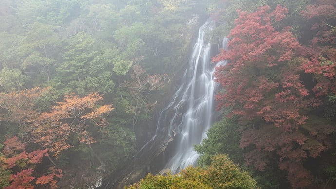 2021.11.19 荒滝(熊野市紀和町)