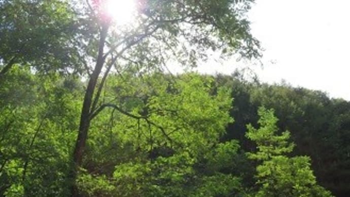 分杭峠から大鹿村。中央構造線とフシギの旅 4