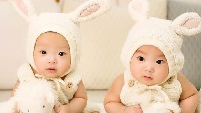 双子の赤ちゃんの愛らしい動画が大人気