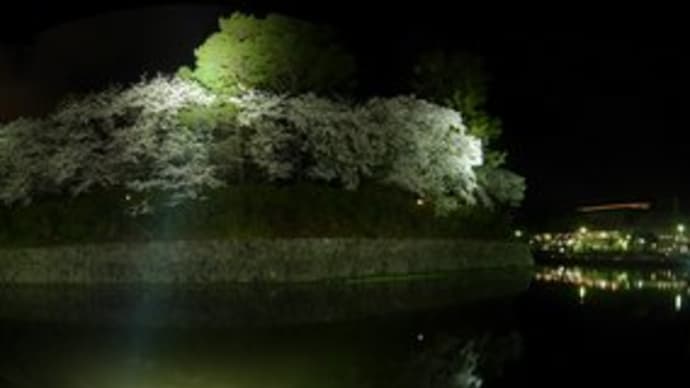 夜桜-2 (駿府城)