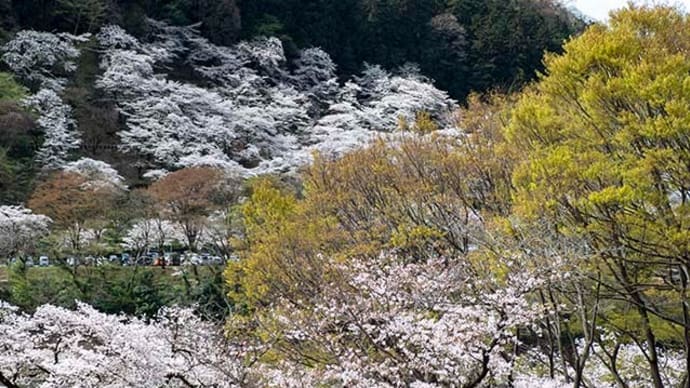 水の園地 4