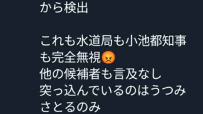 東京都知事選