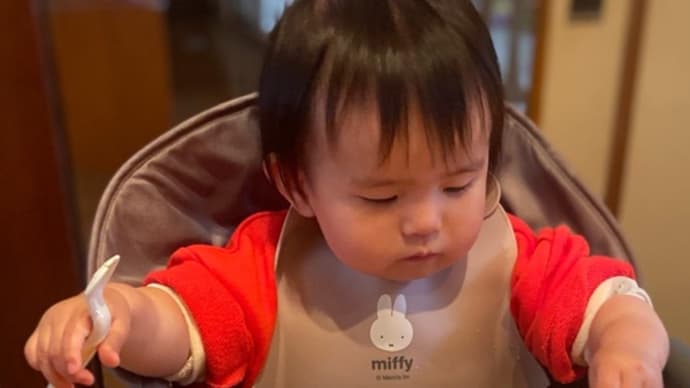 急遽の孫守りデー♪