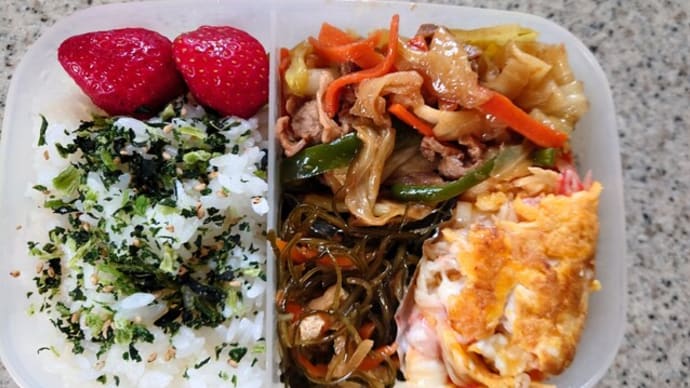 お昼はお弁当を持って行きました🍱(5/9)