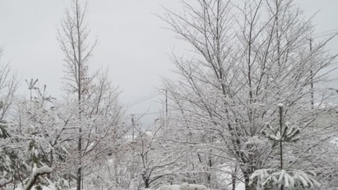 最終日に驚きの雪景色