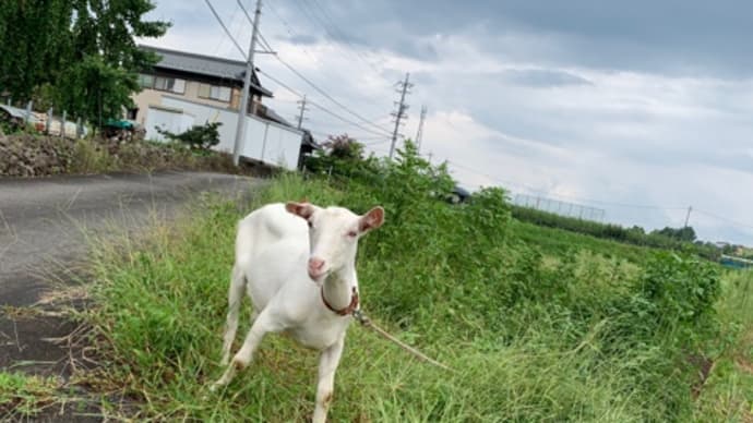 一足先に
