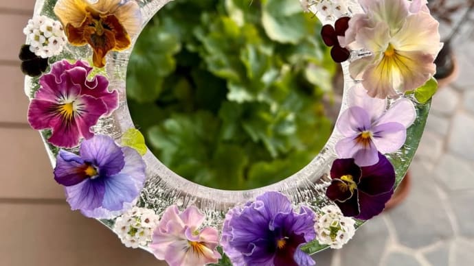 *氷のリース*氷点下4度で透明で綺麗な愛らしいお花のリースが出来ました