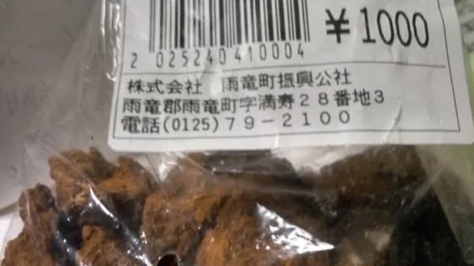 チャガー〈カバノアナタケ〉