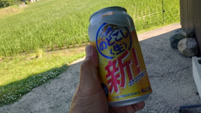アイスモナカ