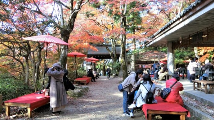 有馬温泉「瑞宝寺公園」へ行きました