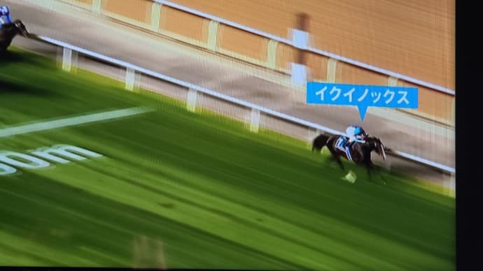 果報は寝て待て‼️寝てる内に2万円の儲け🐴
