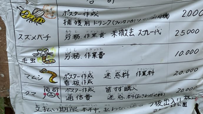 危険生物、オオスズメバチ??