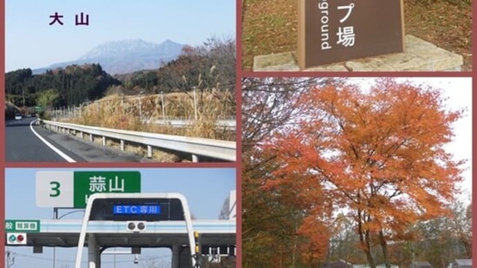 ⛺ キャンプ・その 16