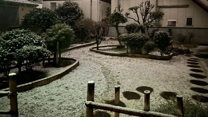 雪〜!