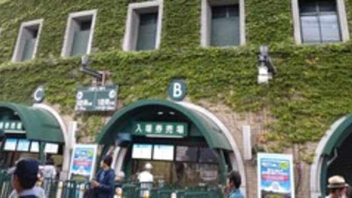 行ってきました甲子園