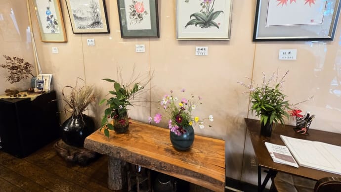 秋桜の会展 開催中です