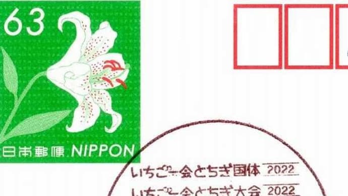 栃木県-いちご一会とちぎ国体_小型印