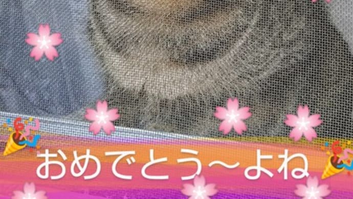 祝🌸小学校入学式ね! お試しポンポンアート教室へカモン❗️