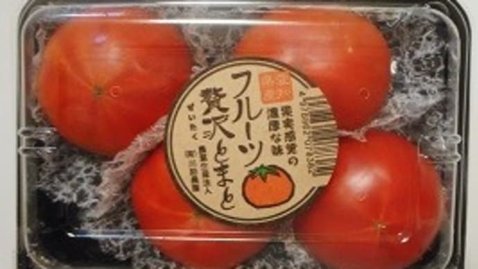 本日の医食同源