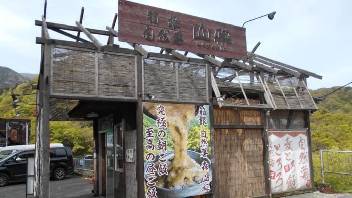 足柄下郡 箱根自然薯の森 山薬 銀しゃりとろろ飯(むかご釜飯)