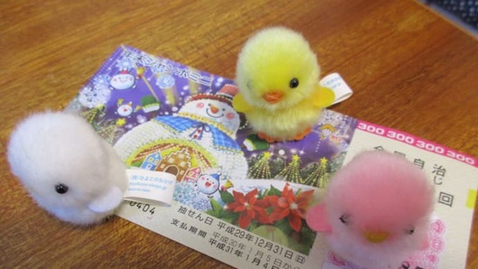 年末ジャンボ宝くじ☆一枚買い