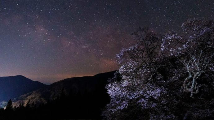 天の川と駒つなぎの桜