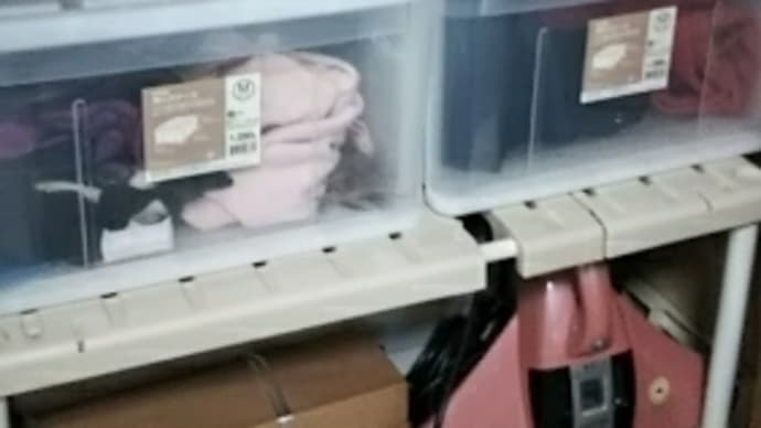 押し入れを片付けました
