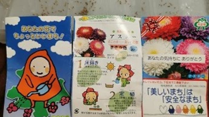 アスター・・・花言葉:美しい追想