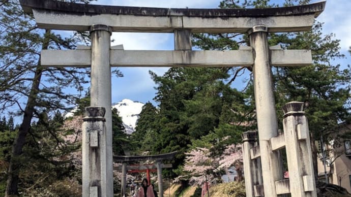 岩木山神社 で ヘビ に出会い 桜林公園 オオヤマザクラ 2025年