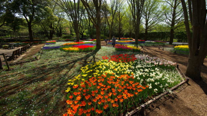 昭和記念公園