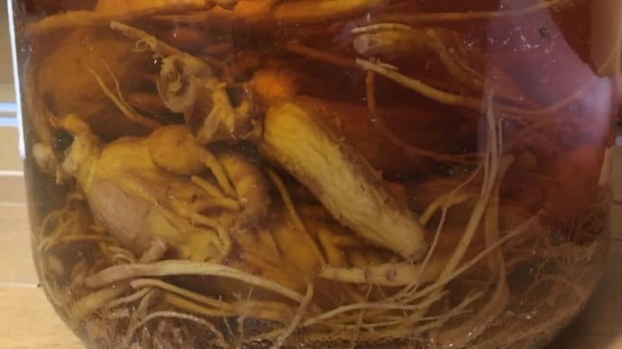 自己防衛