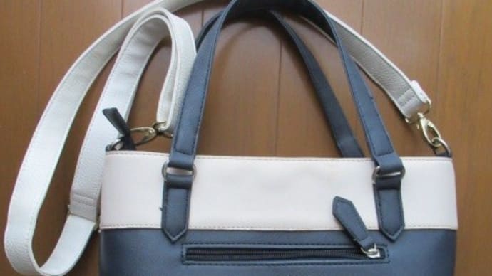 きょうの「捨」バッグ