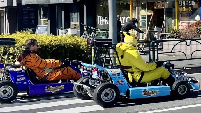 公道カート