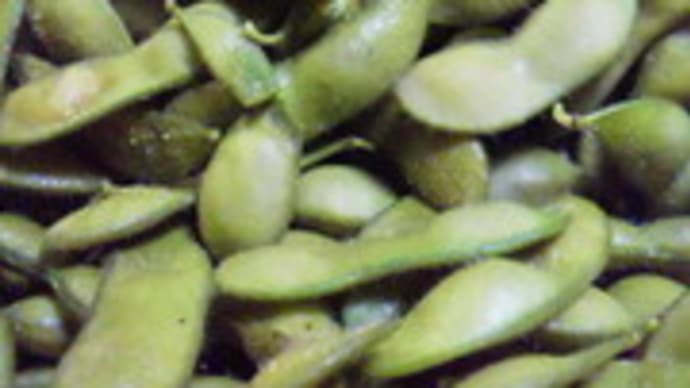 茶豆を食べながら