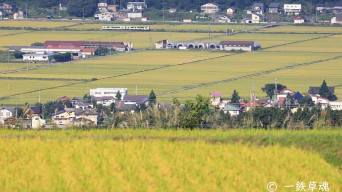 何俵の米が穫れるかなあ…