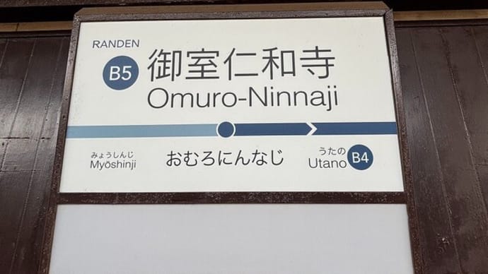 仁和寺でお花見をしてきました