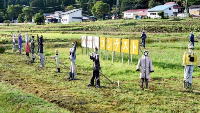 かかしコンテスト