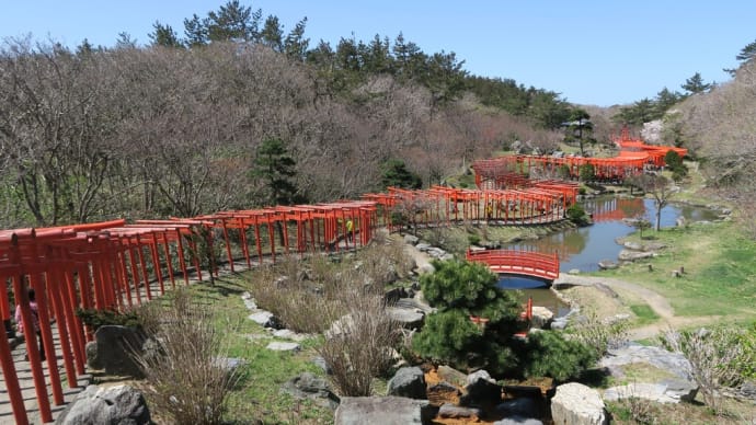 2021年みちのく桜前線の旅･･･数100本の赤い鳥居が並ぶ･･･高山稲荷神社