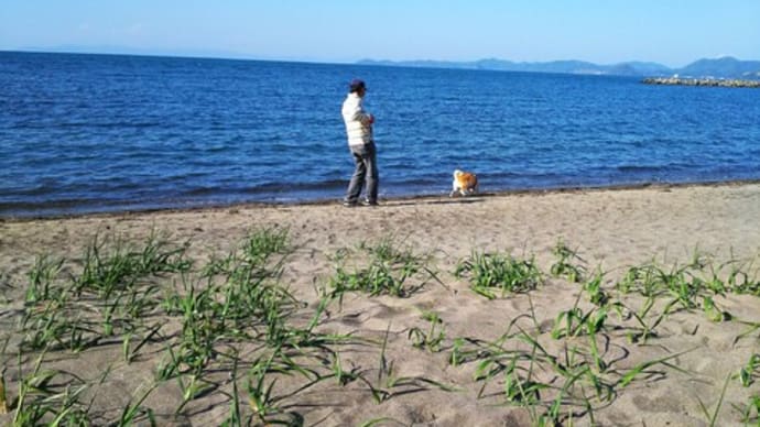 2021/5/14　さくら初めての海・フキノトウの後は～♪