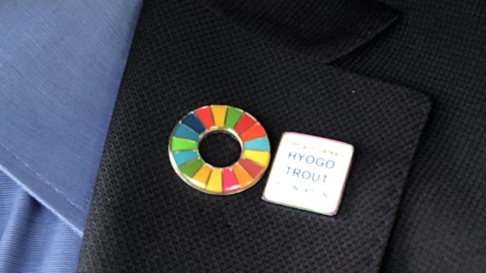 HTF流 SDG's