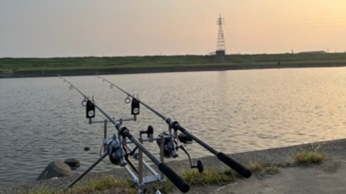 9月8日の鯉釣り