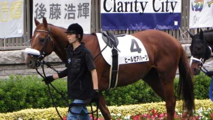 立て直し