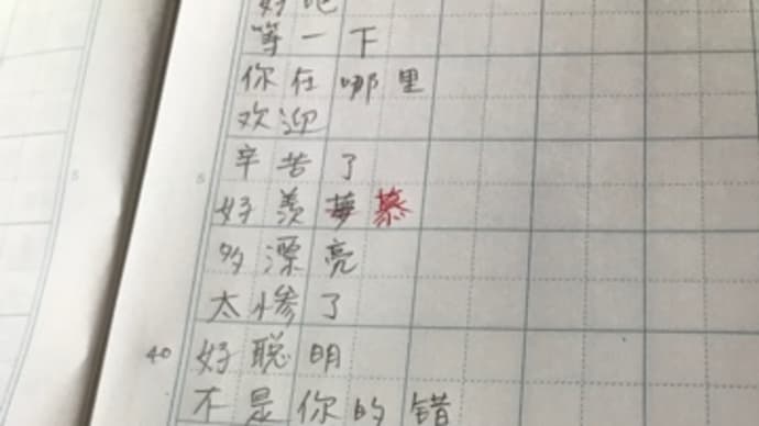 听写