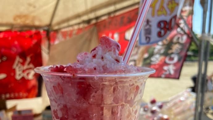 市民フェスティバルへで公園散歩♪