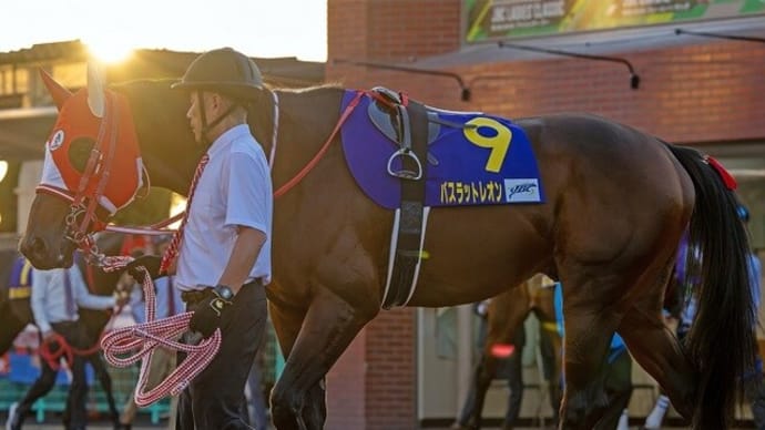 【バスラットレオン】競走馬登録抹消、種牡馬入り